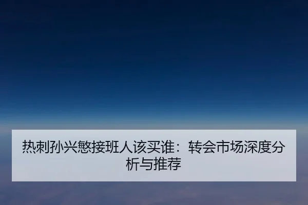 热刺孙兴慜接班人该买谁:转会市场深度分析与推荐